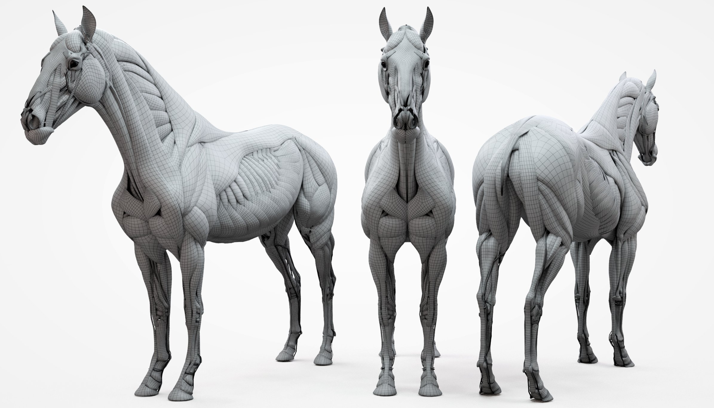 3D Horse Mesh